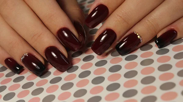 Design elegante di manicure — Foto Stock