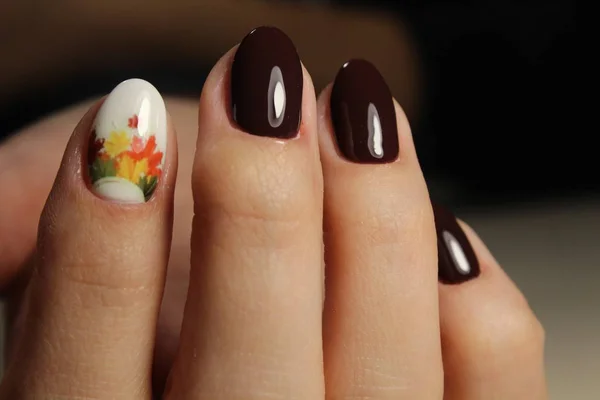 Beautiful manicure design brown with a pattern — Stock Photo, Image