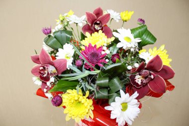 Bir kutu içinde bir orkide güzel çiçekler