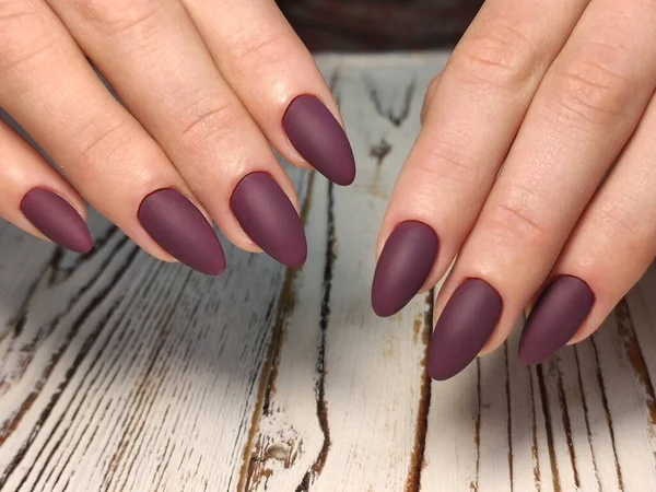 Glamour lussuosa manicure coccodrillo. Progettare unghie glamour — Foto Stock