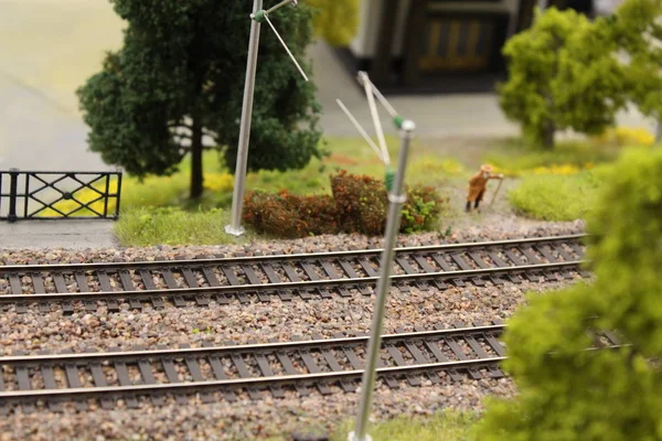 Miniatyrtågstation på ett miniatyrtåg — Stockfoto