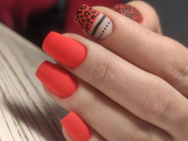 Close Foto Van Een Mooie Vrouwelijke Handen Met Elegante Manicure — Stockfoto