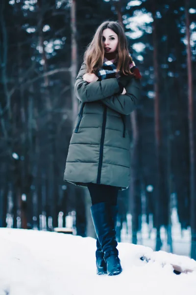 Belle jeune fille gelée, perdue, réchauffant ses mains du froid — Photo