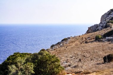 Şeffaf açık deniz dibinde hangi görülen taşlar olabilir. Kıbrıs