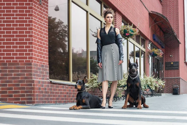 A girl walks along the street in the city along the building with two Dobermans on a leash.
