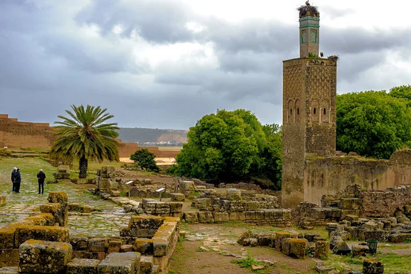 Ruinas de la ciudad romana conocida como Sala Colonia y el complejo islámico de Chellah, mezquita y minarete en ruinas . — Foto de Stock