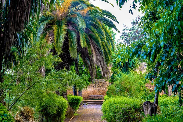 Tropická zahrada v Sala Colonia a islámský komplex Chellah, mešita a minaret. Chellah je nekropole Rabatu. — Stock fotografie
