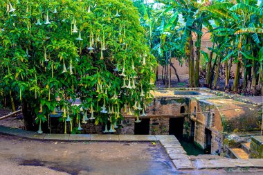 Sala Colonia ve İslam karmaşık Chellah, Camii ve minaresi harap olarak bilinen Roma kentinin kalıntıları.