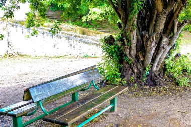 Sala Colonia 'daki tropik bahçe ve İslam kompleksi Chellah, cami ve minare. Chellah Rabat 'ın mezarlığıdır..