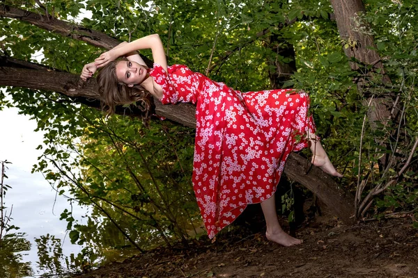 Mükemmel ciltli, uzun saçlı, kırmızı elbiseli güzel bir genç kız, gevşek ve bitkin bir bakışla bir ağaç dalında uzanıyor. Bir ağacın yeşil yapraklı arka planı ve sudaki yaprakların yansıması..