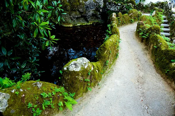 Prachtige Landschappen Van Een Groene Tuin Met Paden Met Een — Stockfoto