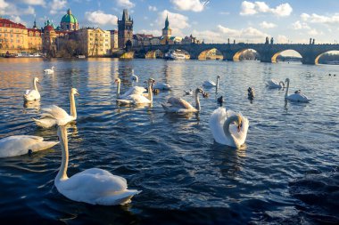 Vltava Nehri manzarası ve güneş batarken parlayan köprüler, Prag, Çek Cumhuriyeti