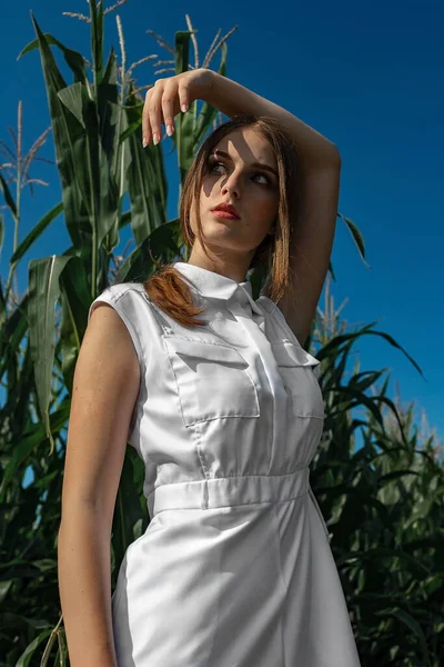 Portrét Světlovlasé Dívky Módních Stylových Šatech Mezi Listím Kukuřičného Pole — Stock fotografie