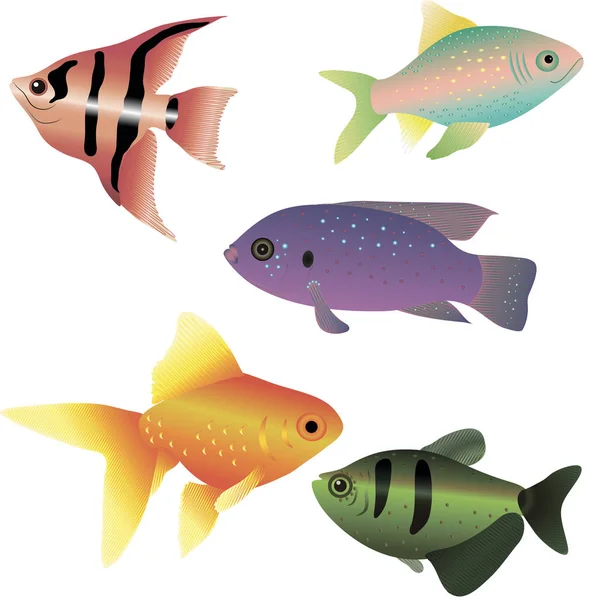 Parlak deniz balıkları  