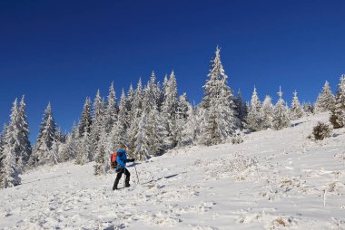 Kışın ormanda sırt çantalı bir adam.