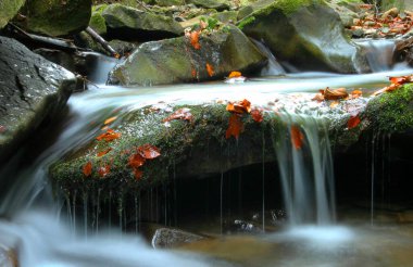 Sonbaharda uzun pozlu su fotoğrafı