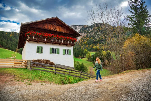 Arka planda Dolomites dağları olan gezgin