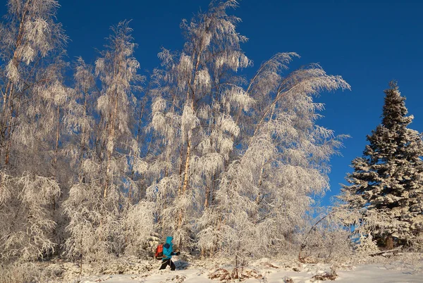 Man Backpack Mountain Forest Winter — Stock Photo, Image