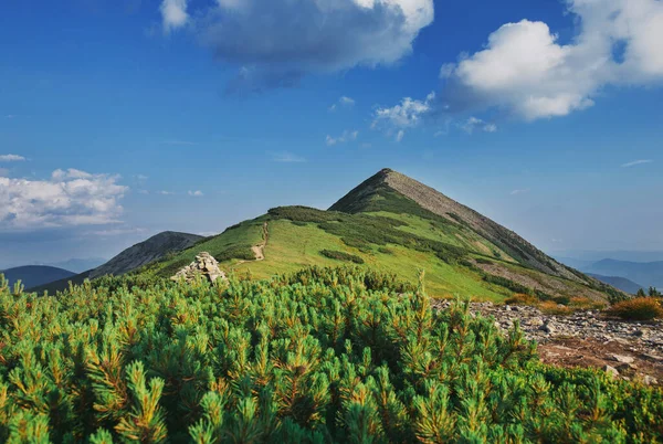 夏は山と青い空 — ストック写真