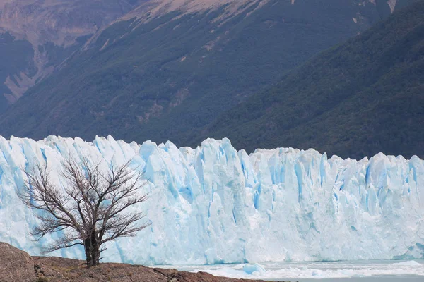 Glaciar Perito Moreno en Patagonia —  Fotos de Stock