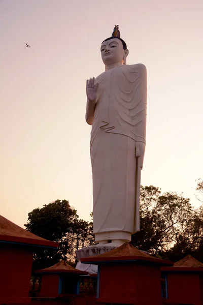 Gran estatua de Buda al atardecer cerca de Sigiriya, Sri Lanka —  Fotos de Stock
