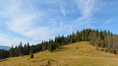 Güzel çayır Carpatian dağlarda, Ukrayna. Gökyüzü