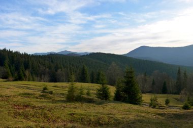 Carpatian Dağları, Ukrayna'nın panoramik akşam görünümü. Erken au
