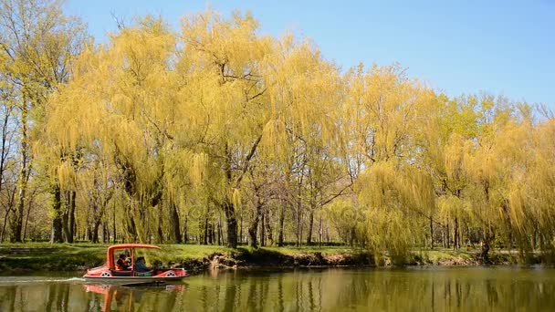 Lazer no parque da cidade - passeio de barco único ao longo da lagoa na primavera . — Vídeo de Stock