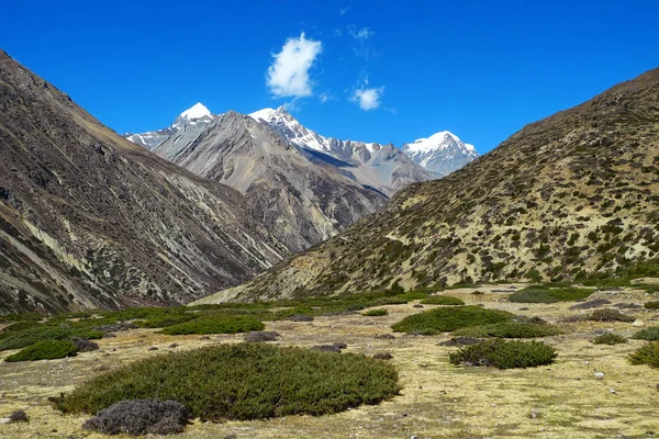 Mooi landschap van de Himalaya. Groene vallei en majestueuze spoortraject — Stockfoto