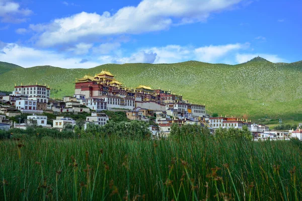 Ganden Songzanlin buddhista kolostor. Shangri-La County, Kína. — Stock Fotó