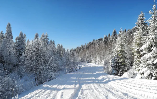 Прекрасний вид на зимовий ліс і сільську дорогу під с — стокове фото