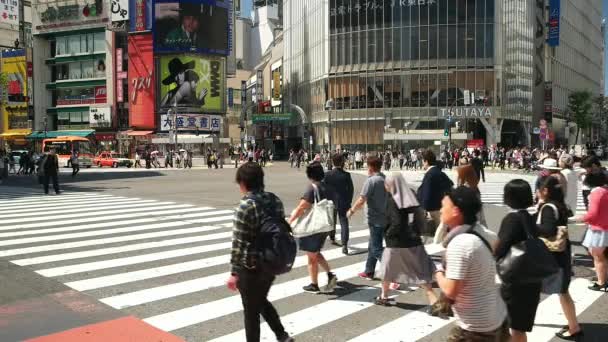 Tóquio- Pessoas na travessia Shibuya. Movimento lento — Vídeo de Stock