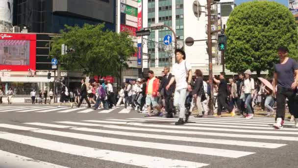 Tokyo- Maio 2016: Pessoas na travessia de Shibuya. Resolução 4K — Vídeo de Stock