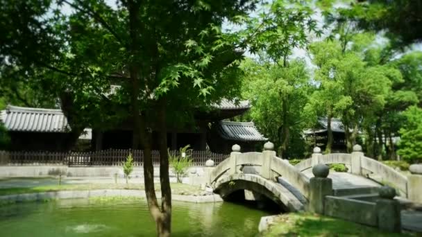 Damm med bro i grönska i japansk tempelträdgård. Fukuoka 2016. Slow motion lutning. — Stockvideo