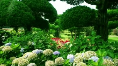 Fukuoka - Japon bahçesi. Nokonoshima Adası Parkı. Yavaş çekimde döndürme.