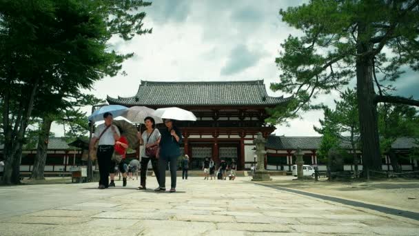 Nara Juli 2016 Besökare Todai Temple — Stockvideo