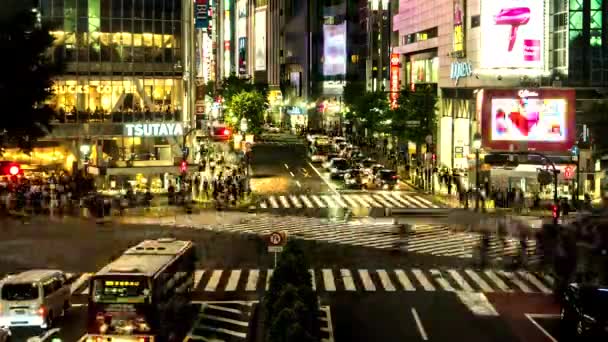 Токио Май 2016 Знаменитый Shibuya Пересекая Ночной Вид Людьми Трафиком — стоковое видео