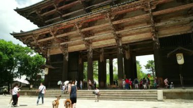 Nara - Todai-ji Tapınağı giriş kapısında Sika geyiklerini besleyen bir turist.