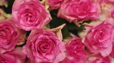 Pembe gül buketi, üst manzarayı kapatın. 4K çözünürlüklü kamyon atışı. Sığ alan derinliği.
