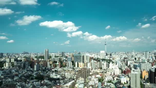 Tokio - Widok z lotu ptaka na miasto z Skytree i chmury na błękitnym niebie. Utrata rozdzielczości 4K. Rok 2016 — Wideo stockowe