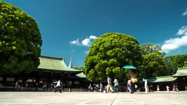 Tokyo - Santuario Meiji con bellissimi alberi e visitatori. Tempo di risoluzione 4k — Video Stock