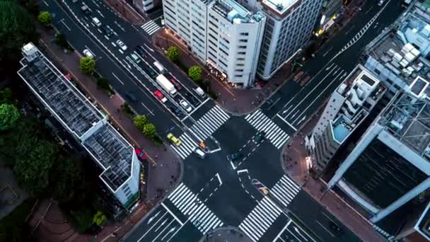 Tokyo Sokaklarının Zaman Aşımına Uğramış Videosu Mayıs 2016 Akşamı — Stok video