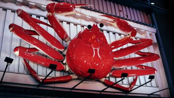 Osaka - Raksasa kepiting tanda di atas pintu masuk ke restoran kepiting. Resolusi Dotonbori 4K — Stok Video