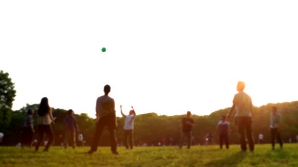 Tokio - Ludzie w parku Yoyogi w niedzielne popołudnie bawią się piłką. Rozdzielczość 4K rozproszony wygląd. — Wideo stockowe