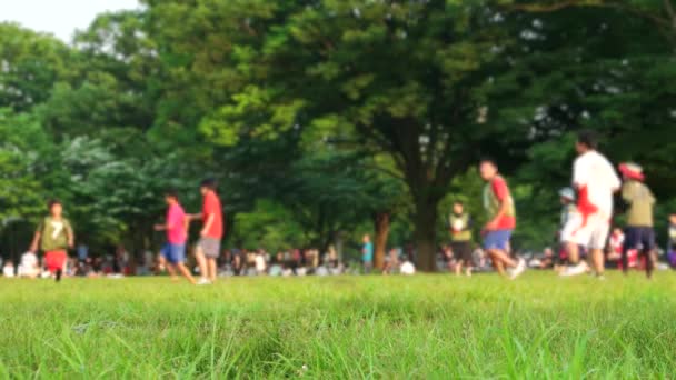 Tokio - La gente en el parque Yoyogi en una tarde de domingo jugando al fútbol. Resolución 4K — Vídeos de Stock