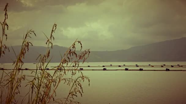 Lago Toba vista con hierba larga y jaulas de pesca. Mirada retro. Resolución 4K — Vídeo de stock