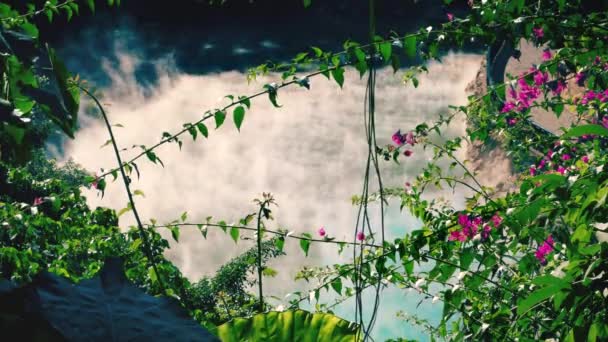 Verdure luxuriante et vapeur au-dessus de l'eau chaude de Thermal Valley. Beitou Hot Spring. Taipei 2016. Résolution 4K . — Video