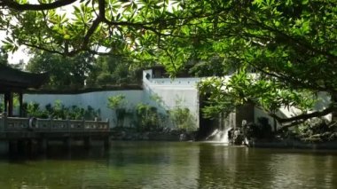 HONG KONG - Şelaleli Gölet. Güneşli bir günde ağacın altından bak. Kowloon Duvarlı Şehir Parkı. 4K çözünürlüğü