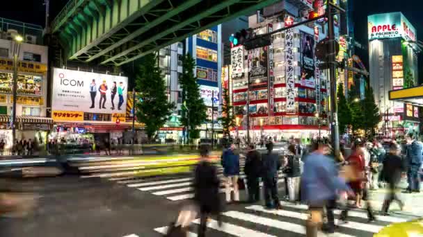 Widok na ulicę z ludźmi przechodzącymi przez ulicę w kolorowe Akihabara Electric Town. Czas upływu rozdzielczości 4K — Wideo stockowe