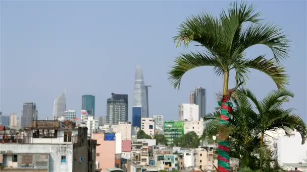 Cidade de Ho Chi Minh - Palmeira com o horizonte suave da cidade de Ho Chi Minh no fundo. Resolução 4K — Vídeo de Stock